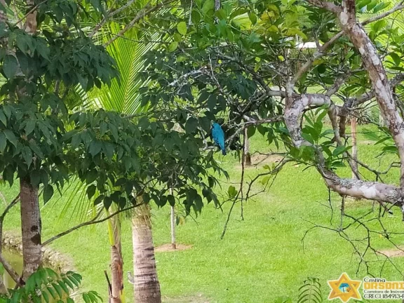 Imagem TERRENO EM CONDOMÍNIO FECHADO