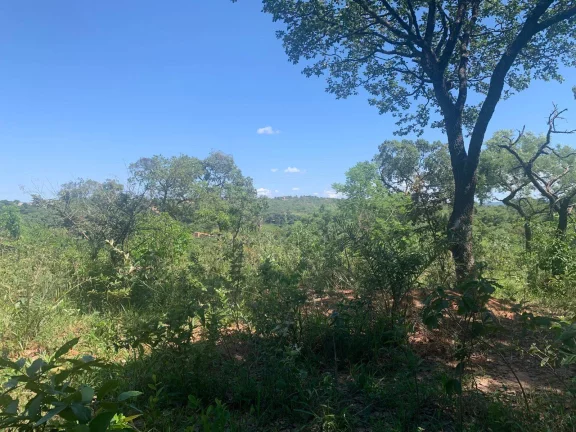Imagem ÁREA DE 2 HECTARES , EM JUATUBA! IDEAL PARA CONSTRUTORES.