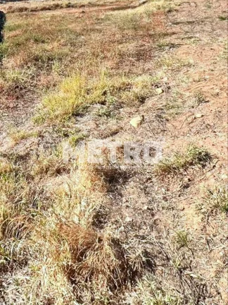 Terreno à venda na Av. Clementino Coelho 412,40m, PETROLINA - PE