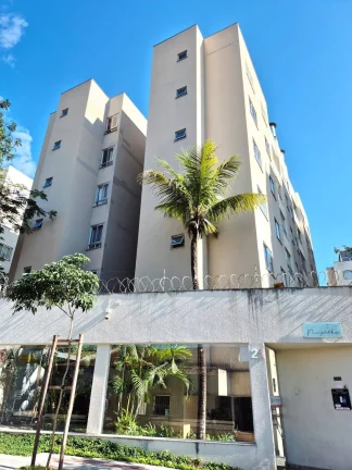 Imagem Apartamento 03 quartos - Santa Amélia