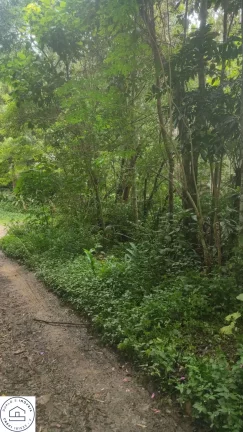Imagem Terreno em Sao Paulo / Parelheiros / Bairro Embura / Travessa estrada marsilac.