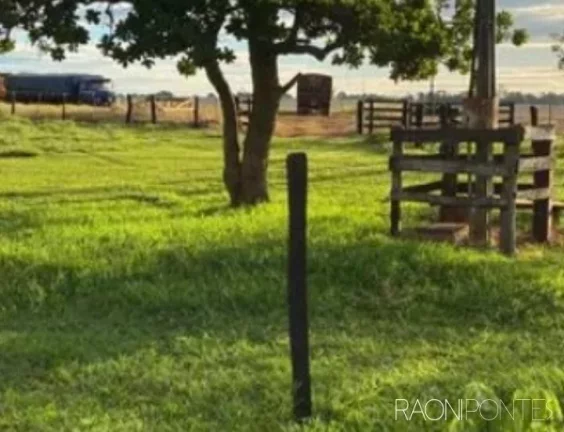 Imagem Fazenda à Venda, 2.032.800 m² em Zona Rural - Guaraci