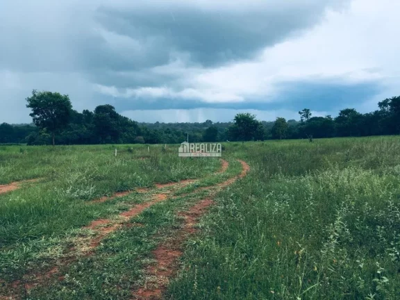 Imagem Oportunidade! Fazenda à venda em Conceição das Alagoas