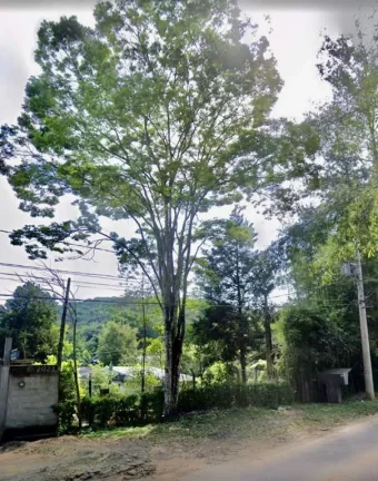 Imagem Chácara com 3 dormitórios à venda, 3000 m² por R$ 430.000,00 - Barroso - Mogi das Cruzes/SP