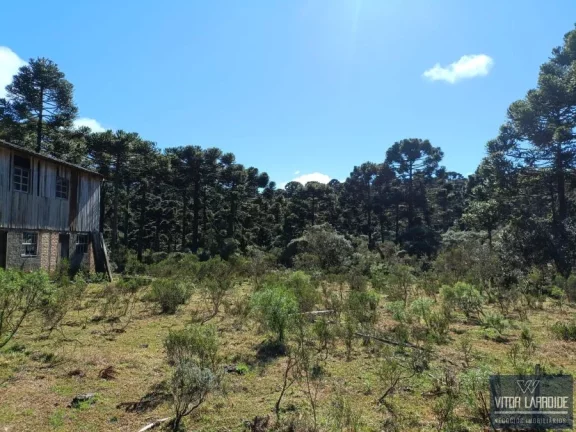 Imagem Fazenda de 34 hectares - São Joaquim/SC, Serra Catarinense