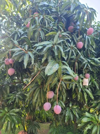 Imagem À Venda: Sobrado Elegante e Sustentável em Alphaville Campinas

Descubra o equilíbrio perfeito en...