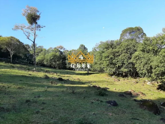 Imagem Chácara - Sítio com 2 Dormitorio(s) localizado(a) no bairro Zona Rural em São Francisco de Paula / RIO GRANDE DO SUL Ref.:1345