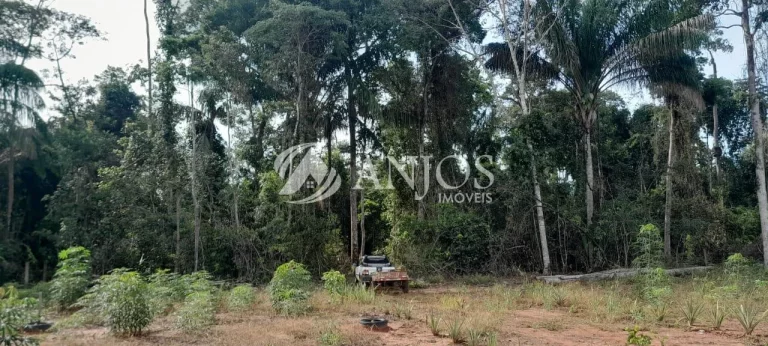 Imagem OPORTUNIDADE PARA VOCÊ QUE BUSCA COMPRAR SUA CHACARA, SINOP - MT