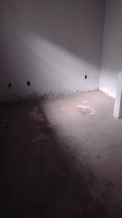 Imagem Mais interessante do que parece à primeira vista