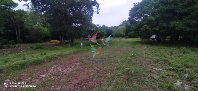 Imagem BELÍSSIMA ÁREA PARA CONDOMÍNIO EM SANTO ANDRÉ BAHIA