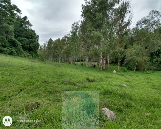 Imagem Vende de Sítio em Jacuí Sul de Minas Gerais, 9 alqueires sendo 7 alqueires para grãos.