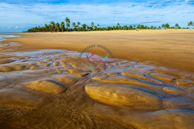 Imagem Pé na Areia - Linda Propriedade com 200 m de Praia - 15 ha.