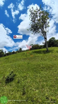 Imagem SÍTIO DOS SONHOS EM ANGELINA - SC Brasil