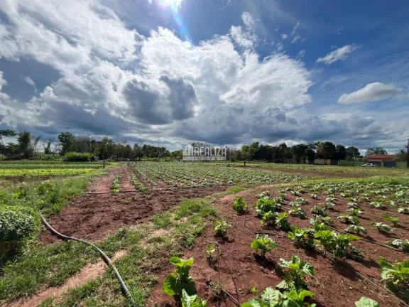 Imagem Chácara de sonho à venda em Uberaba - Aproveite essa oportunidade única!