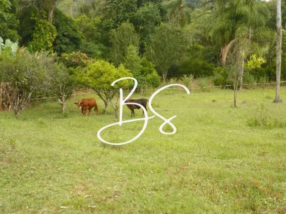 Imagem SITIO RURAL em NOVA PETRÓPOLIS - RS, Linha Temerária