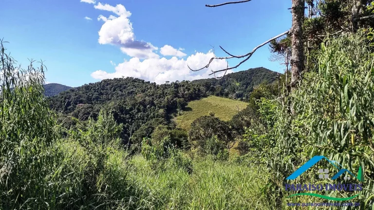 Imagem Paraíso Particular: 14,32 ha, com Vista Panorâmica e Natureza Preservada!