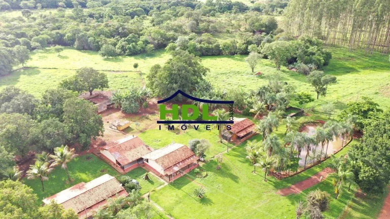 Imagem Fazenda Top de 165 Alqs em Padre Bernardo GO