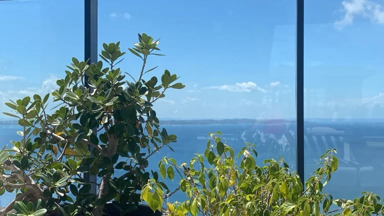 Imagem Imóvel à venda em Salvador, Vitória: Cozinha, Vista para o mar, Perto de escola