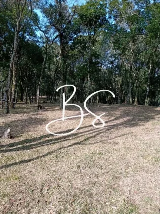 Imagem AREA RURAL em CANELA - RS, São Lucas