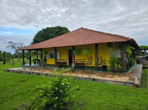 Imagem Oportunidade Única: Fazenda Espetacular à Venda! Mundo Novo GO.