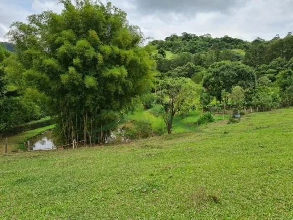 Imagem Lindo Sítio à Venda em Piracaia – 48.400 m² de Tradição e Beleza Natural