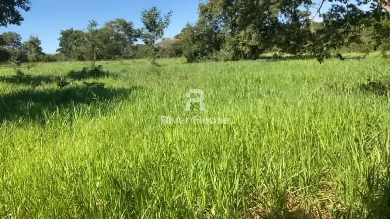 Imagem Rural / Fazenda na cidade de Poconé