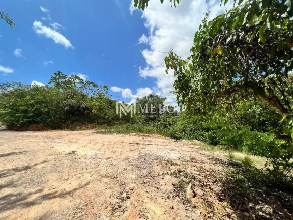 Imagem ÁREA DE 6.000m², em Jaboatão Velho..