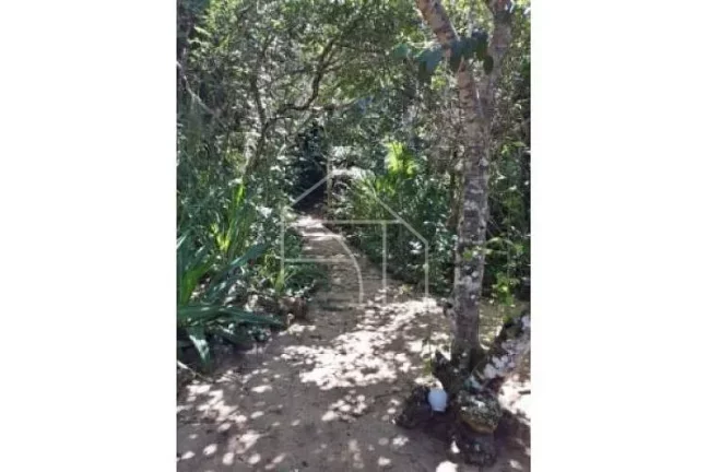 Imagem Chácara em Praia Grande, Frente pro Mar com 6 dormitórios e 5000 m²