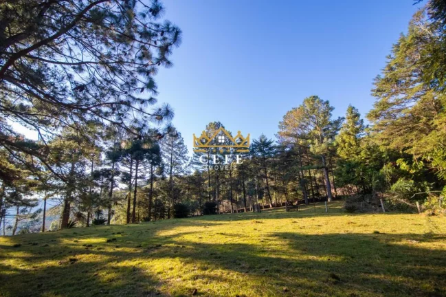 Imagem Chácara - Sítio com 3 Dormitorio(s) localizado(a) no bairro Zona Rural em Morro Reuter / RIO GRANDE DO SUL Ref.:1544