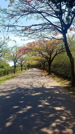 Imagem MARAVILHOSO TERRENO NO PORTAL DOS RESEDÁS