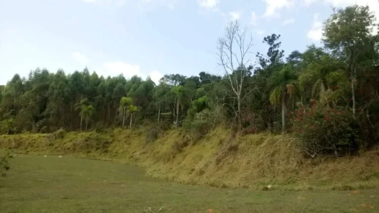Imagem Área 500 mil m² - V.G.Paulista (Km 44,5 R.Tavares) PROMOÇÃO