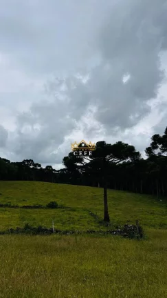 Imagem Chácara - Sítio com 3 Dormitorio(s) localizado(a) no bairro Zona Rural em Santa Maria do Herval / RIO GRANDE DO SUL Ref.:1545