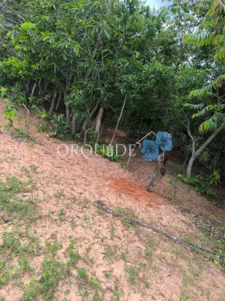 Imagem Fazenda à venda em Mineiros-GO: 150,00 alqueires na Área Rural de Mineiros