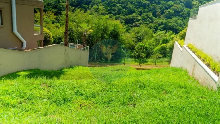 Imagem Declive com 490m² e vista eterna para APP