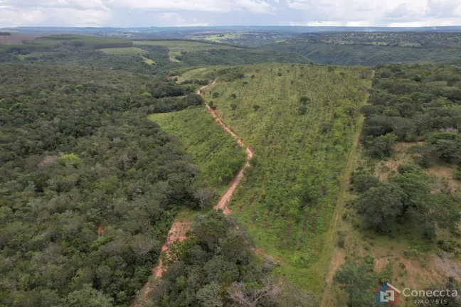 Imagem Fazenda em Centro, Presidente Olegário/MG