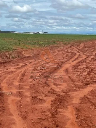 Imagem Fazenda - João Pinheiro - João Pinheiro