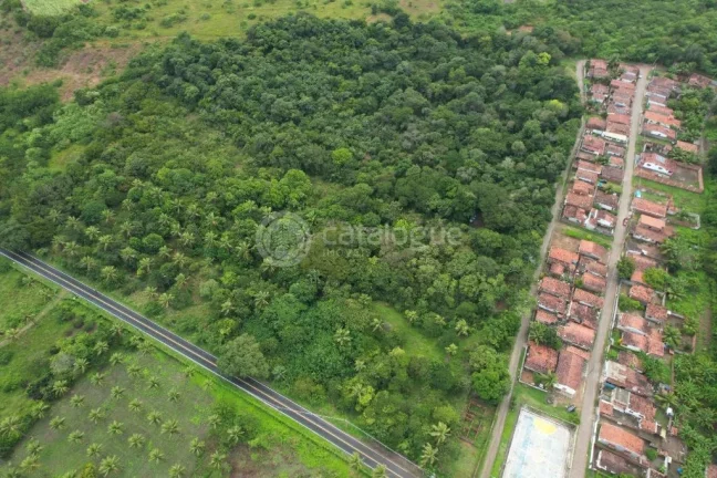 Imagem Área à Venda – Nísia Floresta / RN - 12,1 Ha