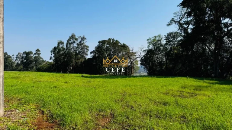 Chácara - Sítio com 1 Dormitorio(s) localizado(a) no bairro Zona Rural em Nova Hartz / RIO GRANDE DO SUL Ref.:1583