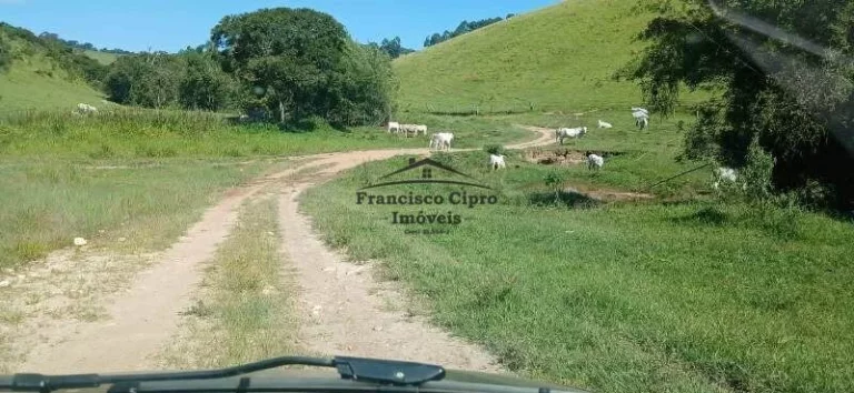 Imagem Fazenda à venda no bairro Carneiros - Cunha/SP