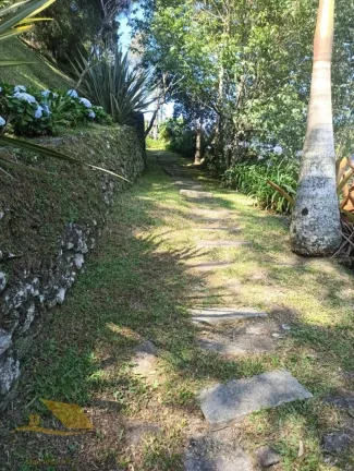 Imagem Alugo Chácara em Theodoro com 3 quartos e 1 suíte