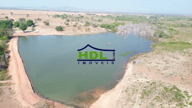 Fazenda de OPORTUNIDADE Dupla Aptidão em Peixe do Tocantins