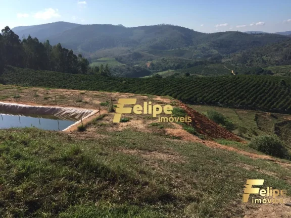 Imagem FAZENDA EM COLATINA (28KM DO CENTRO) / UM IMPERDÍVEL NEGÓCIO!