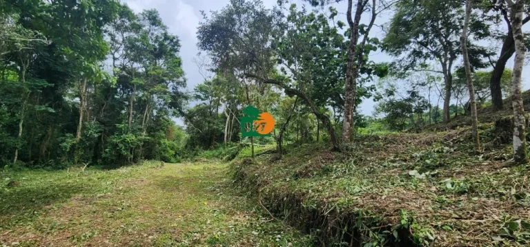 Imagem Terreno para Venda em São Roque, Vila Santo Antônio