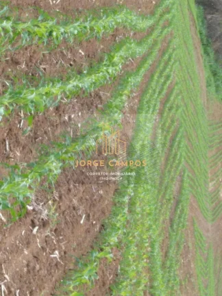 Imagem FA-26297 - FAZENDA À VENDA NA SÃO JOSÉ DO BARREIRO -SP