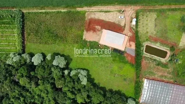 Imagem Chácara à venda 2 Quartos, 2 Suites, 10000M², Jardim Recanto dos Palmares, Apucarana - PR