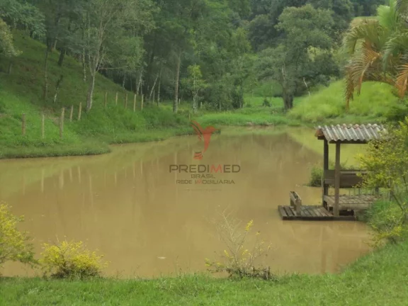 Imagem Sitio com bastante Água, represa, Lago, Piscina .Bairro Rio do Peixe, Guaratinguetá
