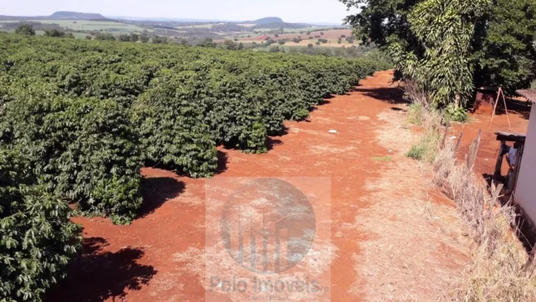 Imagem Sítio com 79 mil pés de Café, 11 alqueires com estrutura e terreirão em São Sebastião do Paraíso - Minas Gerais.