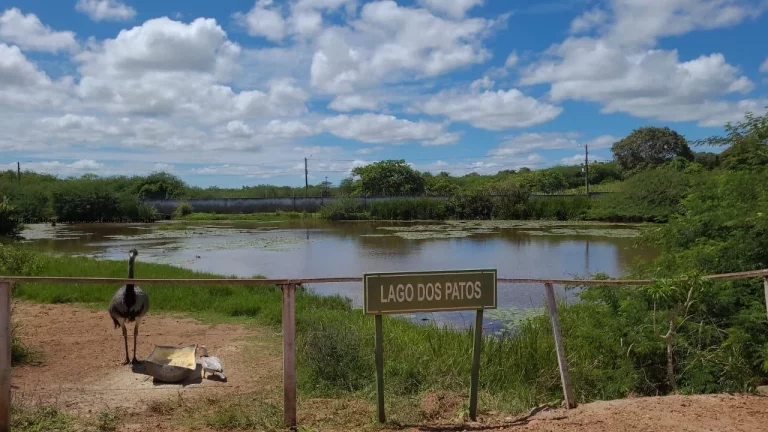Imagem Terreno em Condomínio para Venda em Macaíba, Área Rural de Macaíba