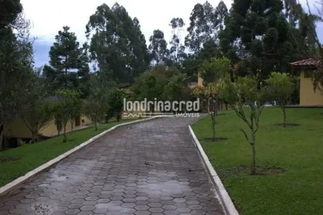 Imagem Chácara à venda 529000M², Zona Rural, Tijucas do Sul - PR