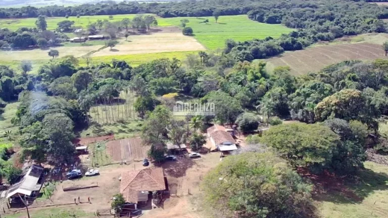 Imagem Oportunidade! Fazenda à venda em Conceição das Alagoas
